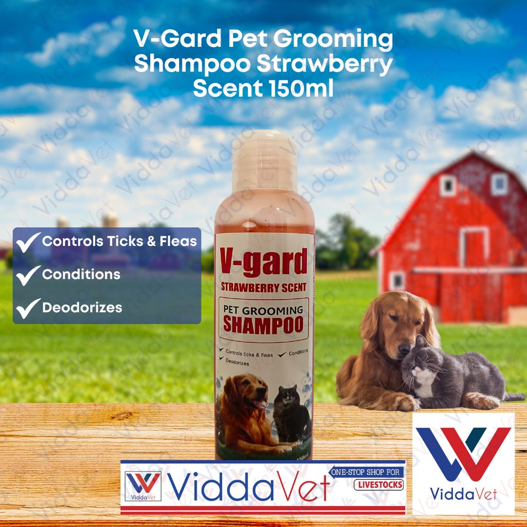 V-Gard Pet Shampoo Strawberry Scent 150ML