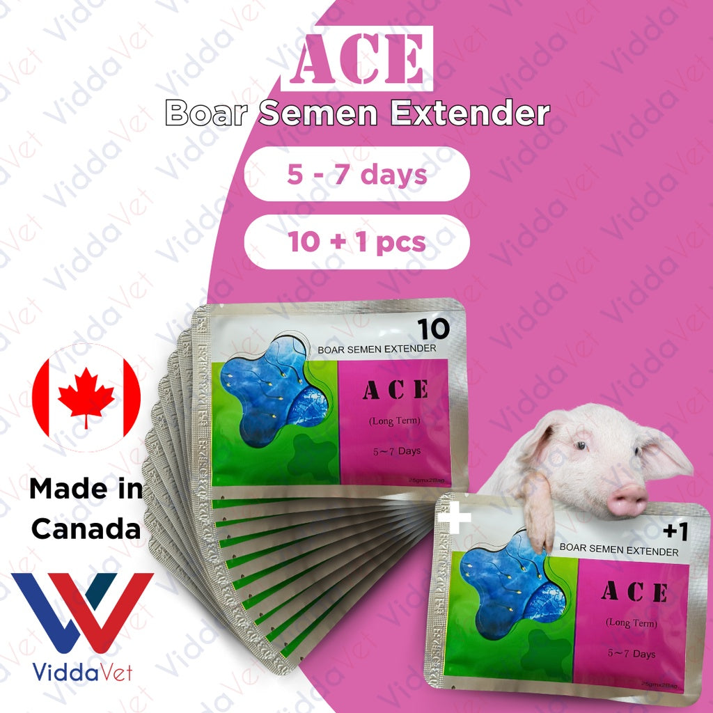 Ace Boar Semen Extender 5 to 7 days 10pcs + 1 Free
