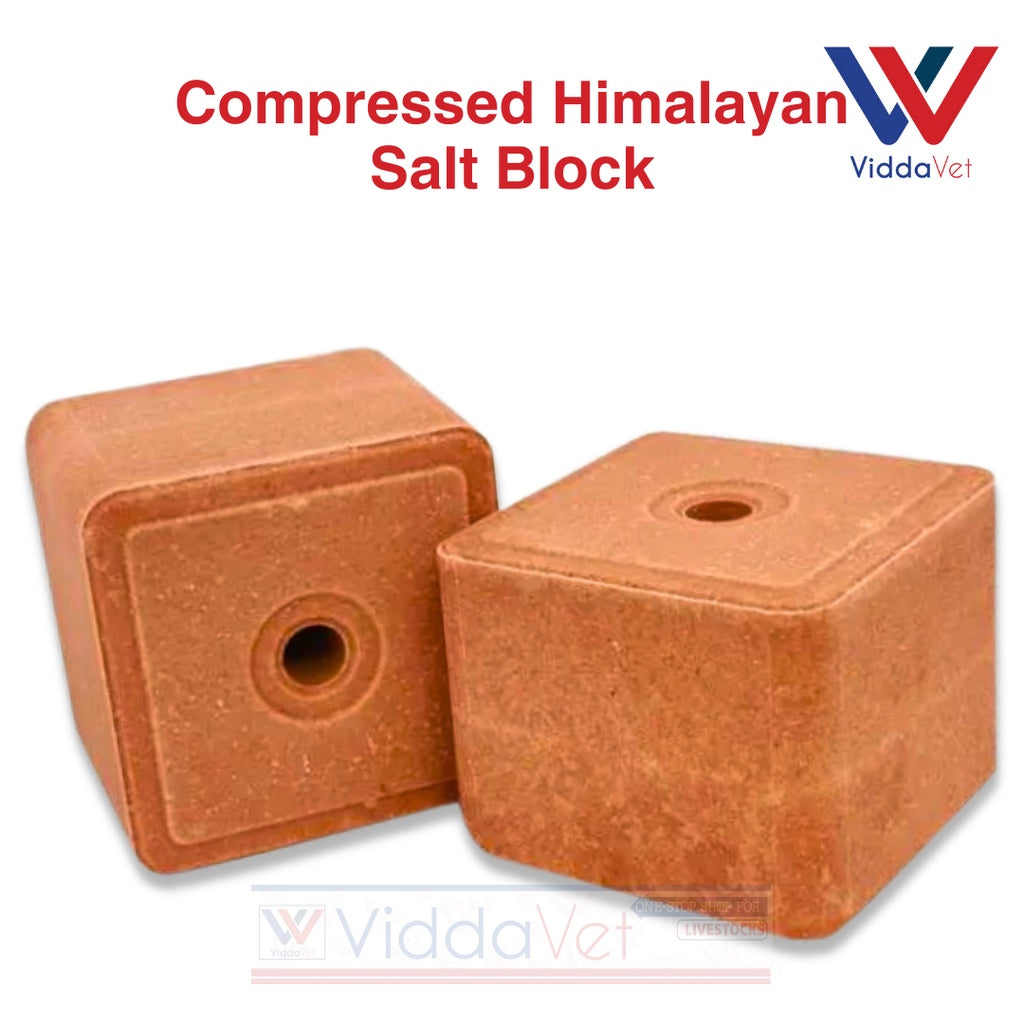 Pure Himalayan Mineral Block