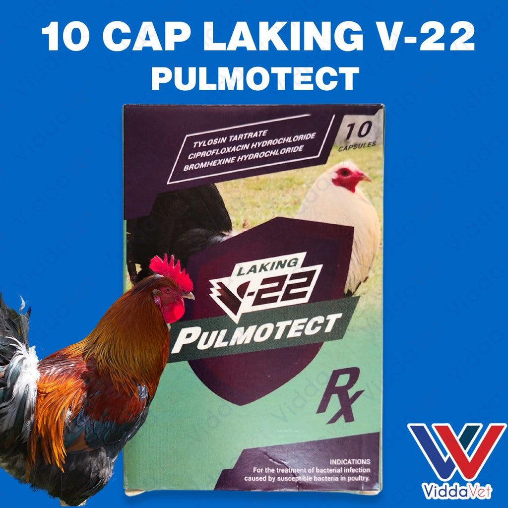 Laking V22 Pulmotect 10 Capsule