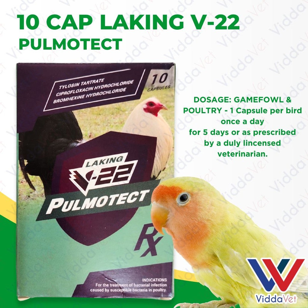 Laking V22 Pulmotect 10 Capsule