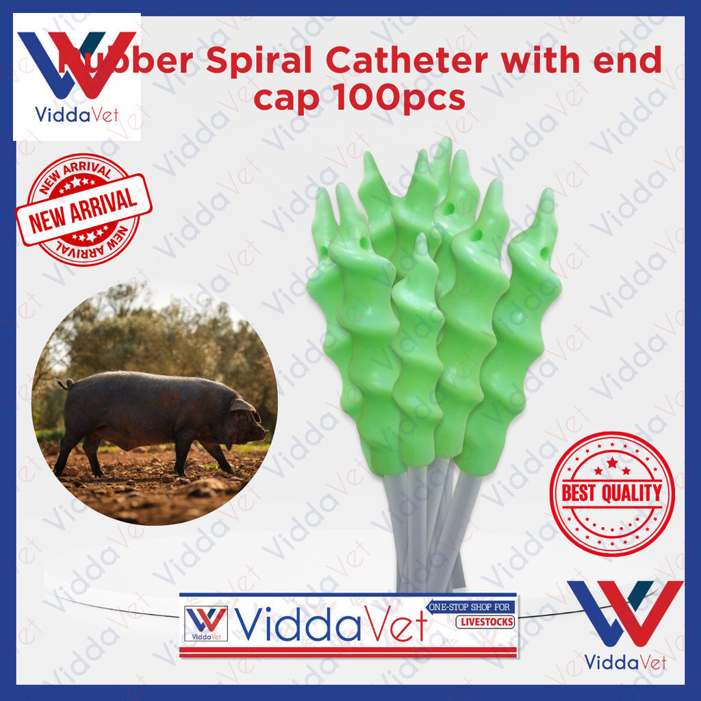 Pig Spiral Catheter 100pcs