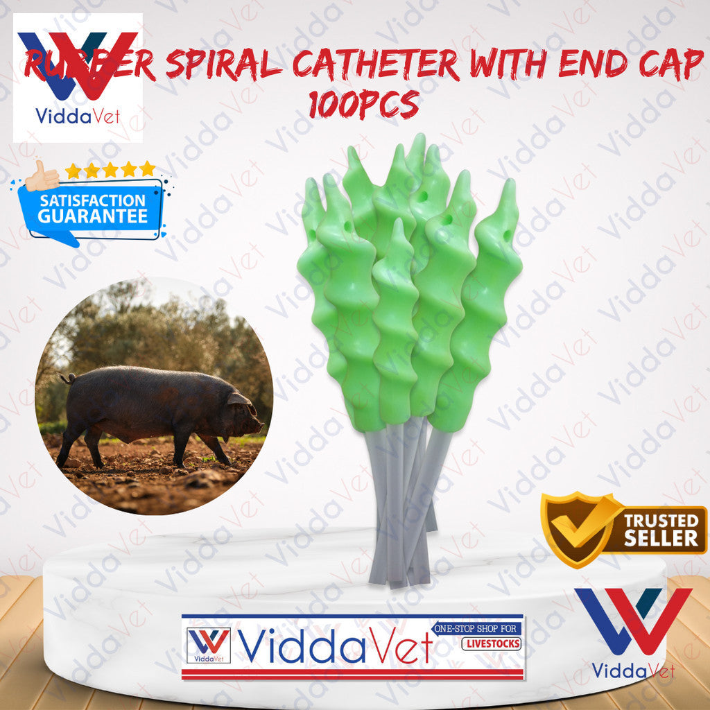 Pig Spiral Catheter 100pcs