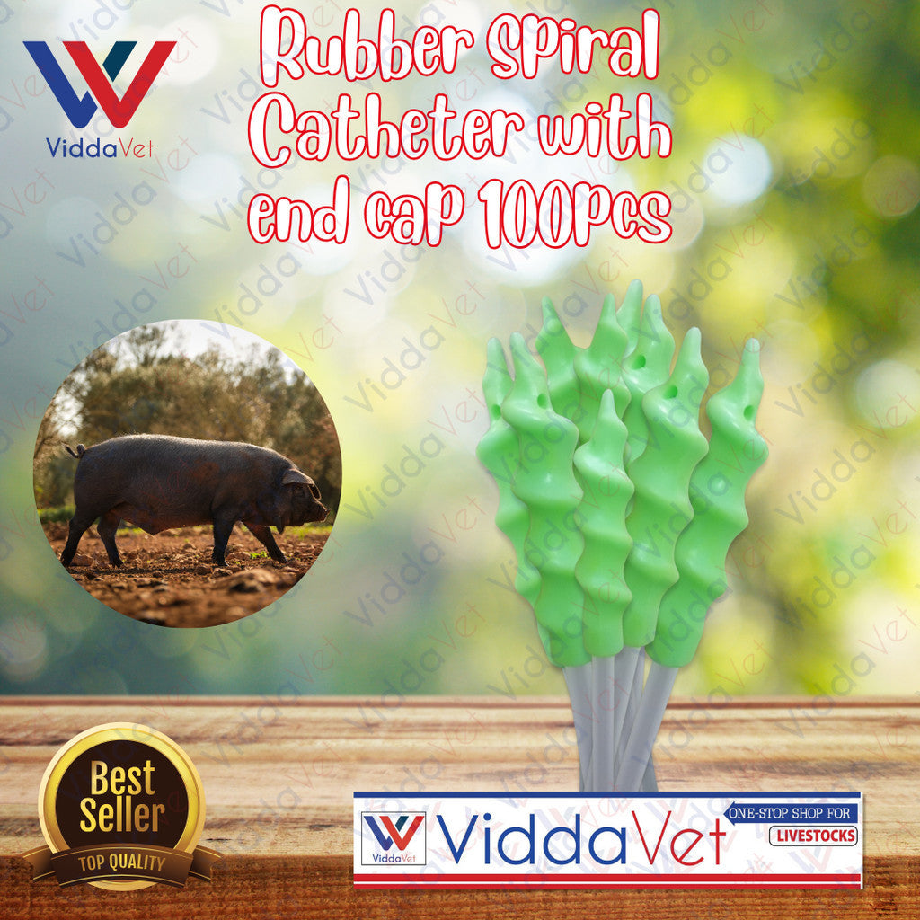 Pig Spiral Catheter 100pcs