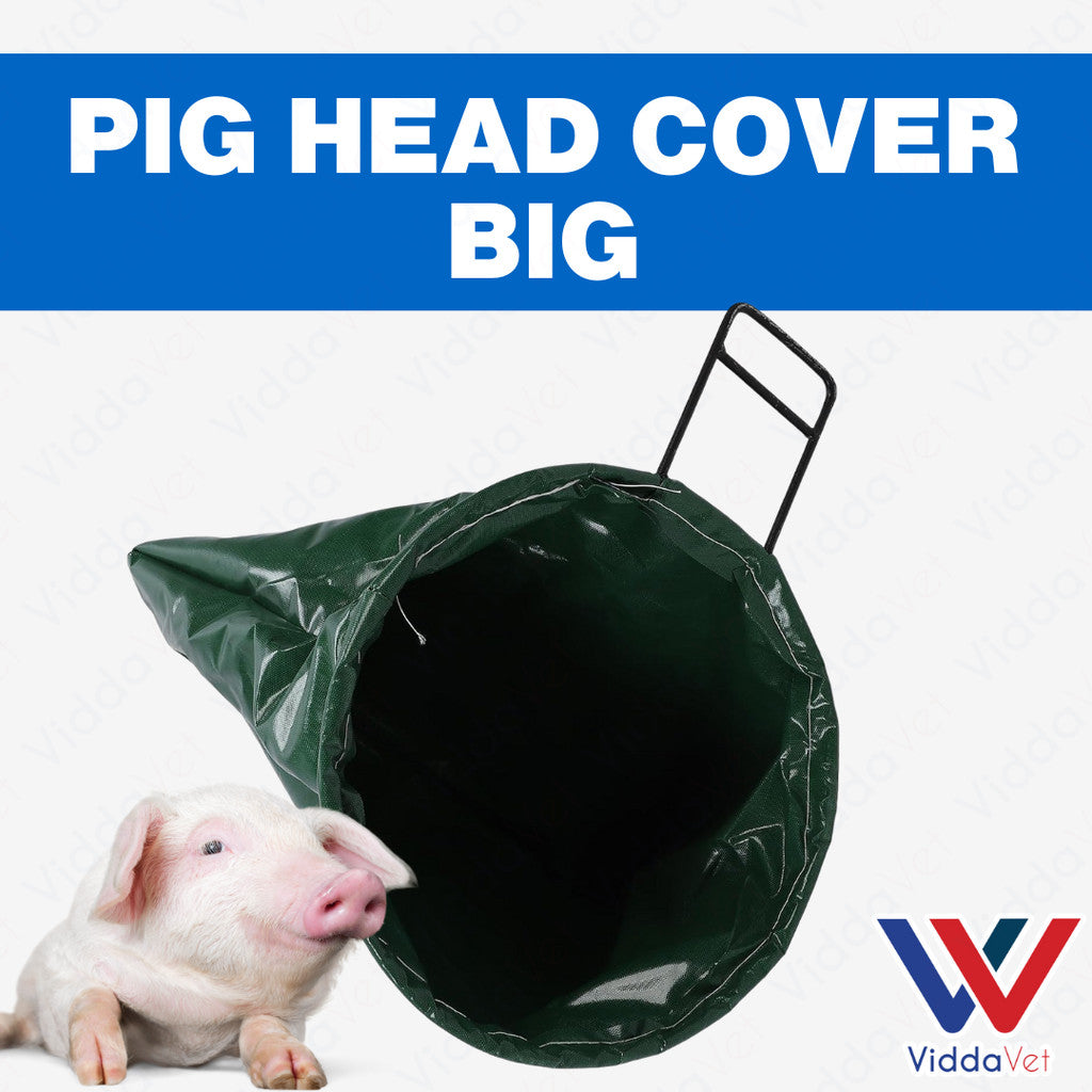 Pig Head Cover Big