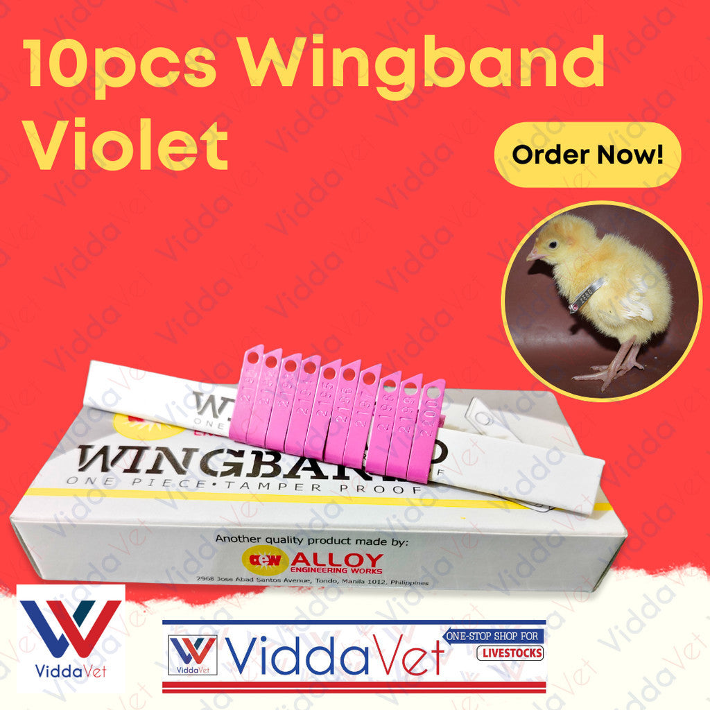 Wing Bands Violet 10pcs
