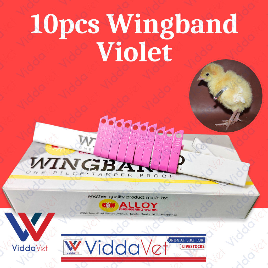 Wing Bands Violet 10pcs