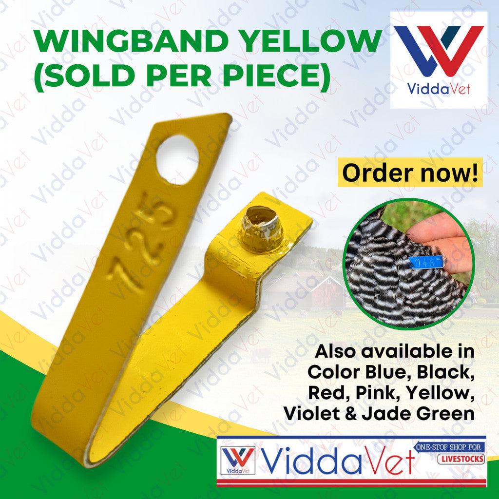 Wingband Yellow 1pc
