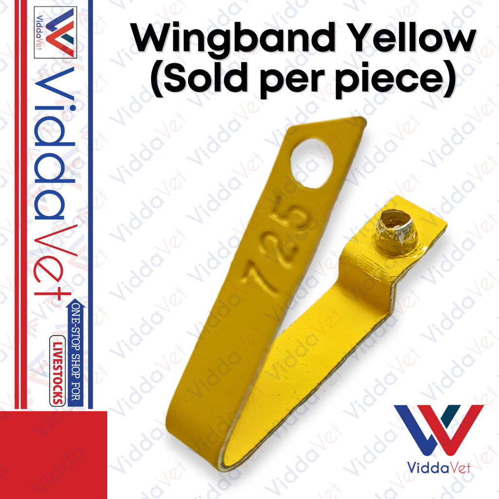 Wingband Yellow 1pc