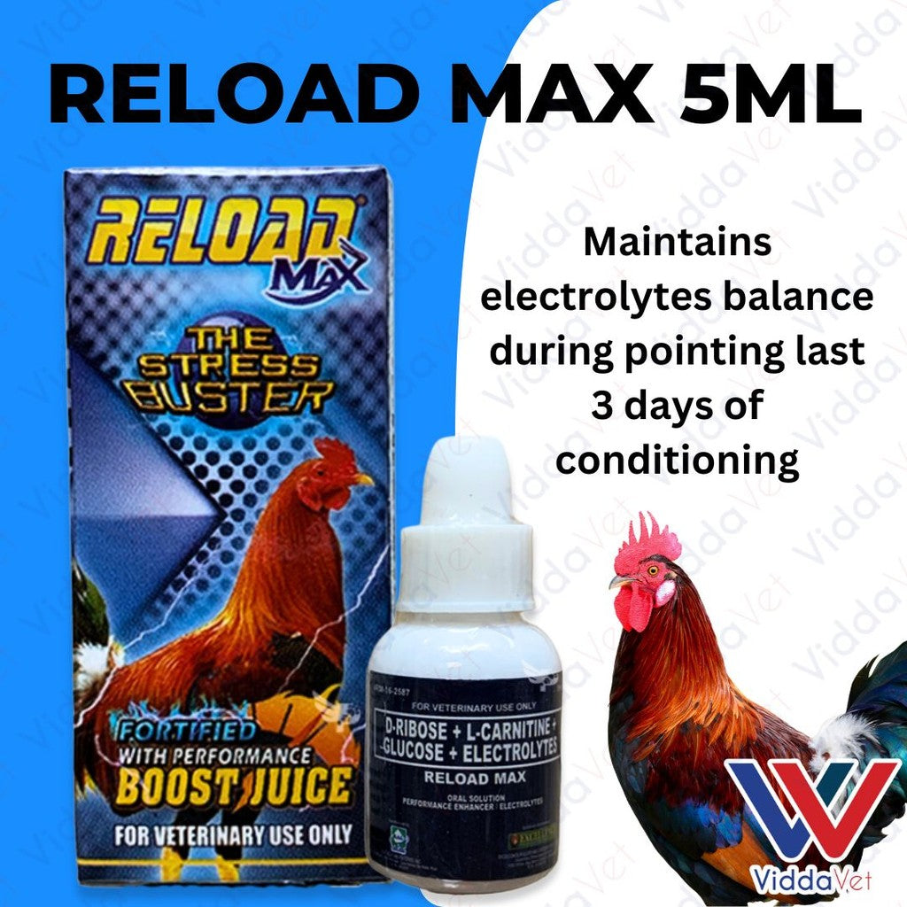 Reload Max 5ml - Premium Gamefowl Energy Supplement | Viddavet Trading