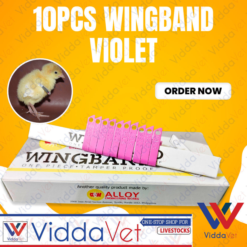 Wing Bands Violet 10pcs