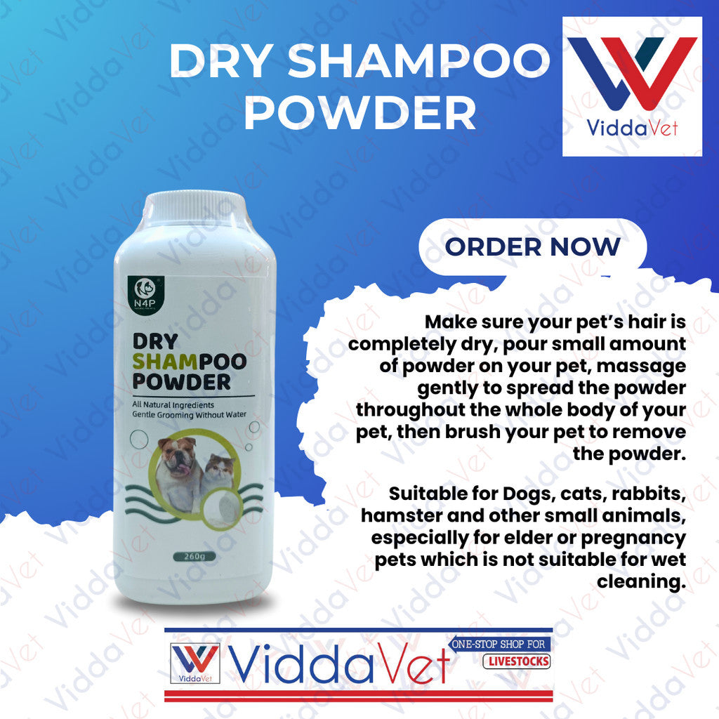 N4P Dry Shampoo Powder