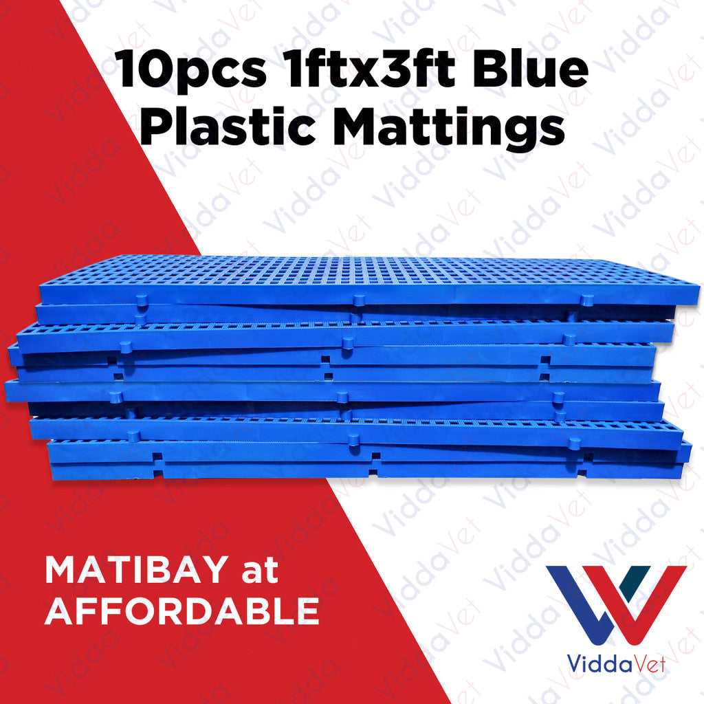 Plastic Mattings Blue 1x3 10pcs
