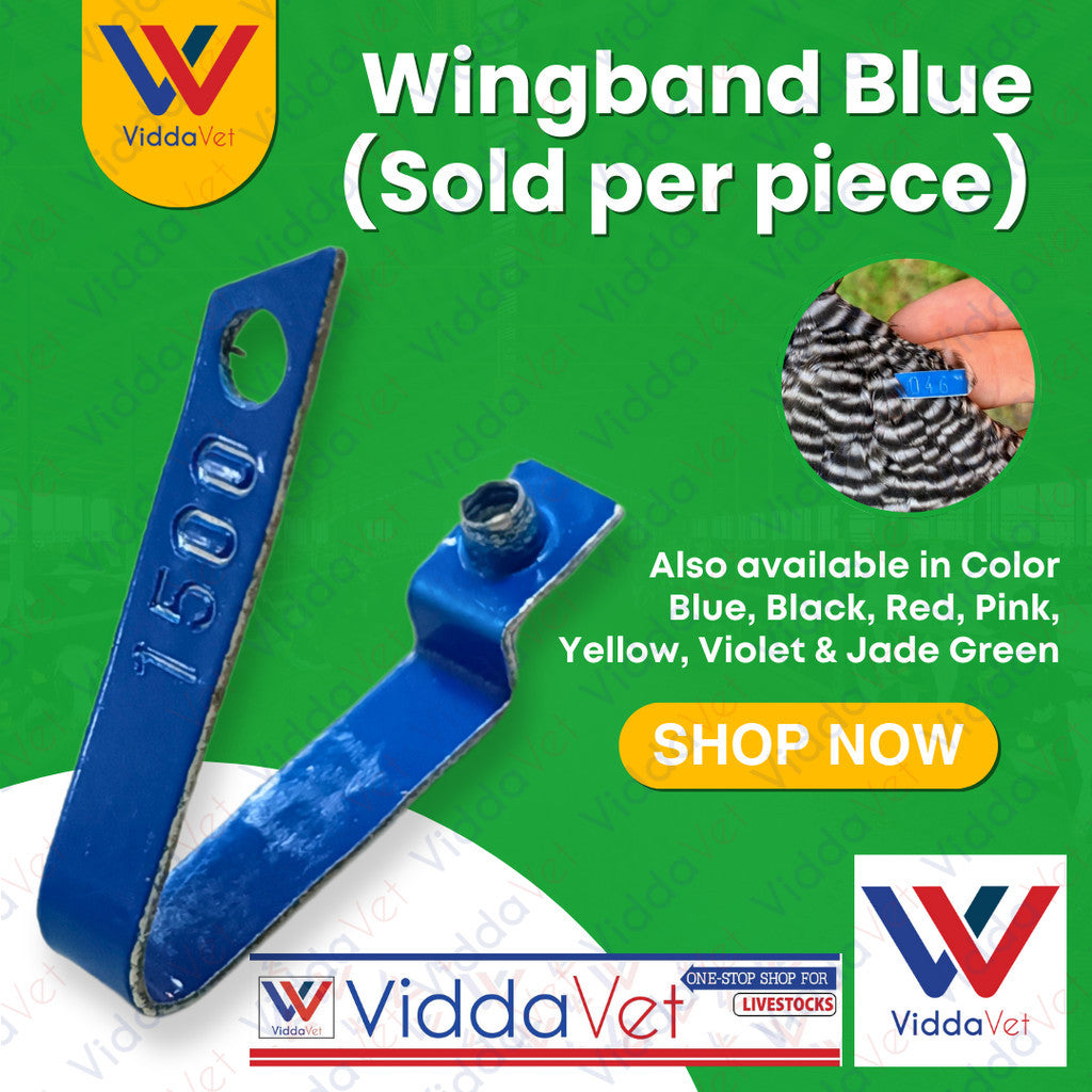 WingBand Blue 1pc
