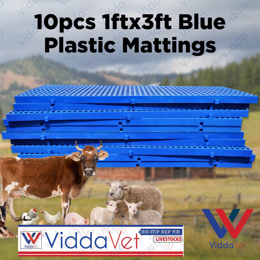 Plastic Mattings Blue 1x3 10pcs