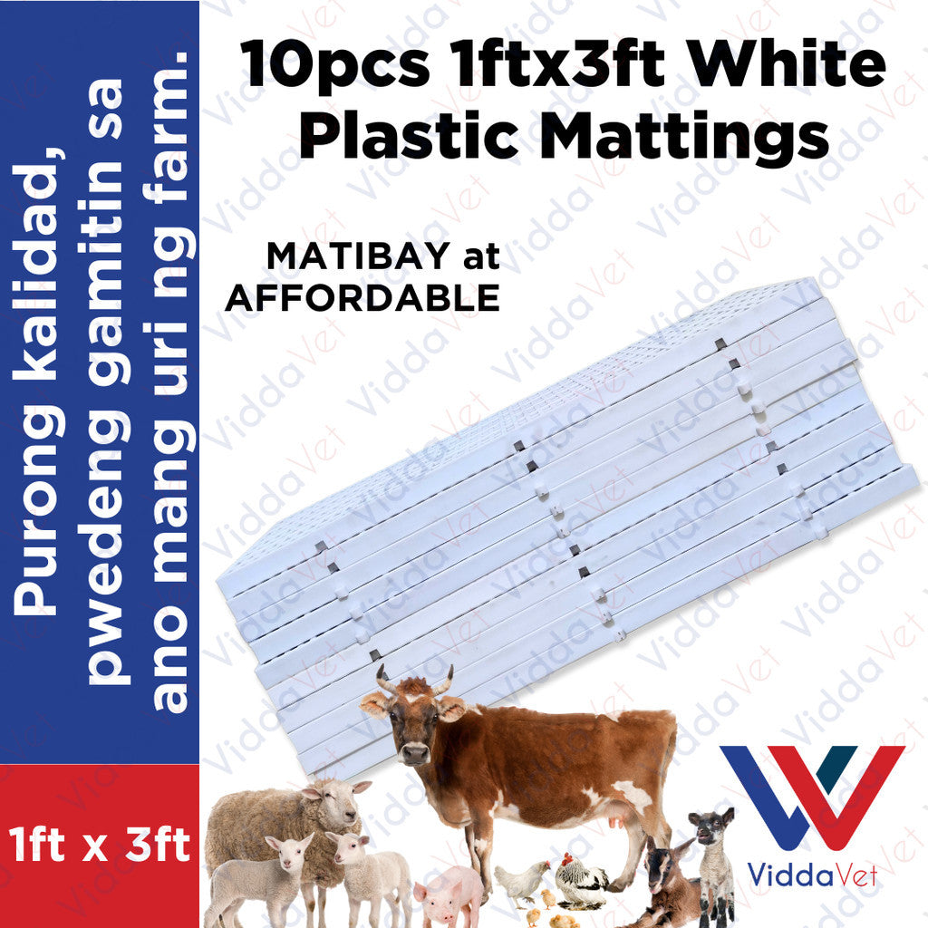 Plastic Mattings White 1x3 10pcs