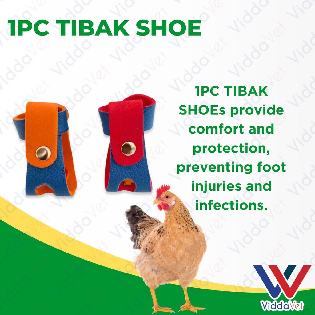 Tibak Shoe 1pc