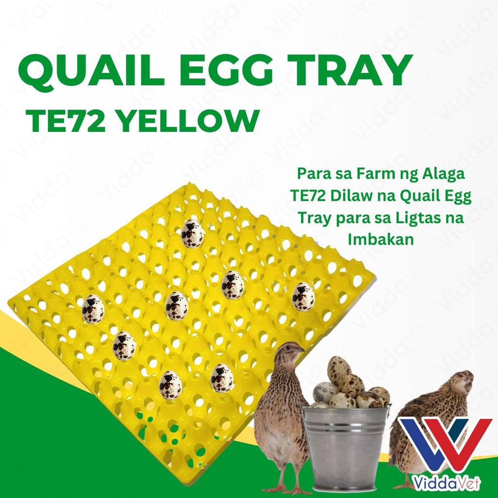 Yellow Quail Pugo Egg Tray 24 Slot