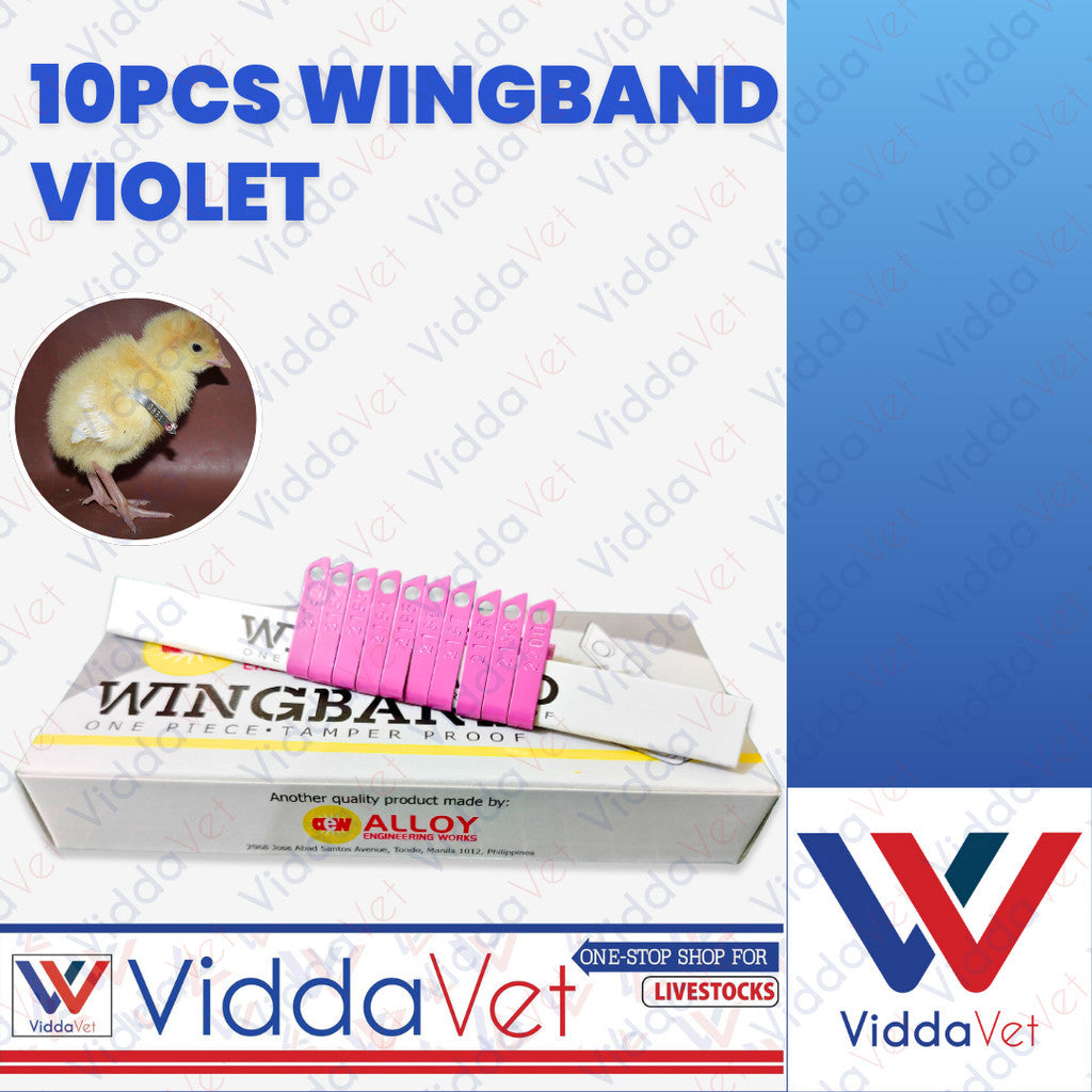 Wing Bands Violet 10pcs