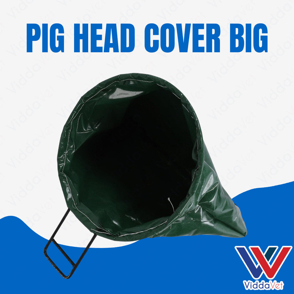 Pig Head Cover Big