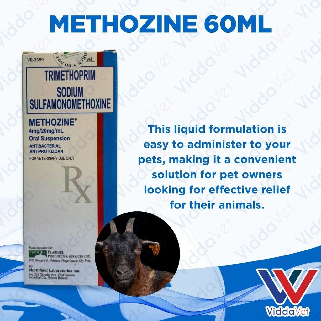 Methozine 60ml