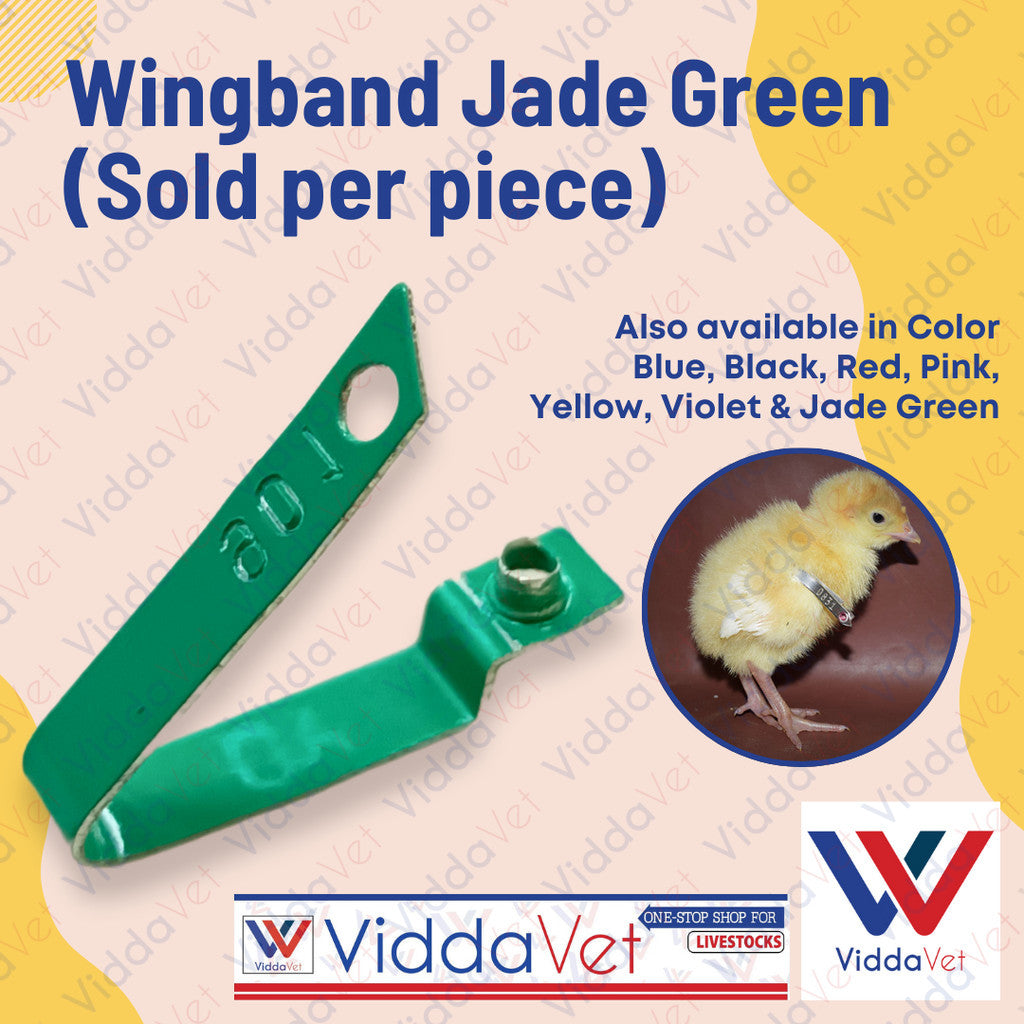 WingBand Green 1PC