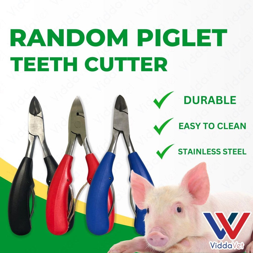 Piglet Teeth Cutter (Random)