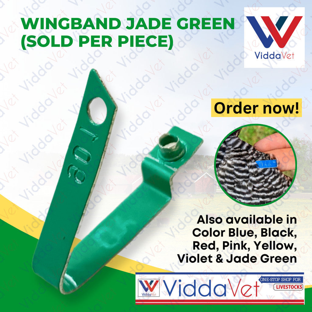 WingBand Green 1PC