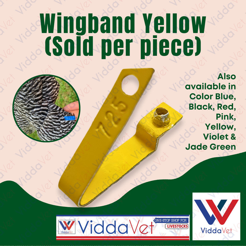 Wingband Yellow 1pc