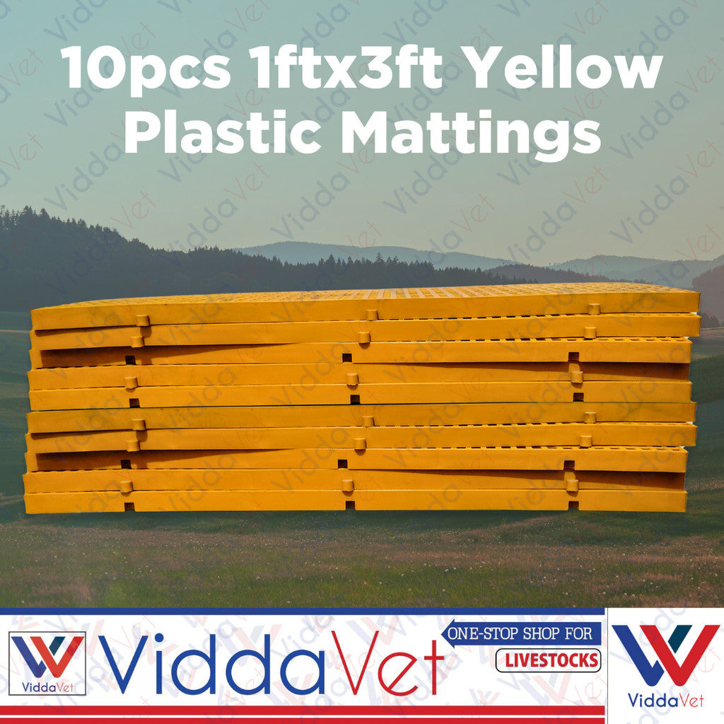 Plastic Mattings Yellow Golden Matt 1x3 10pcs