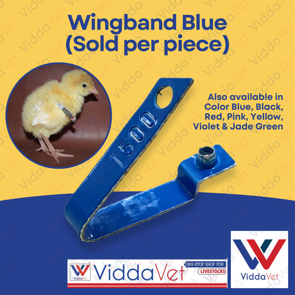 WingBand Blue 1pc