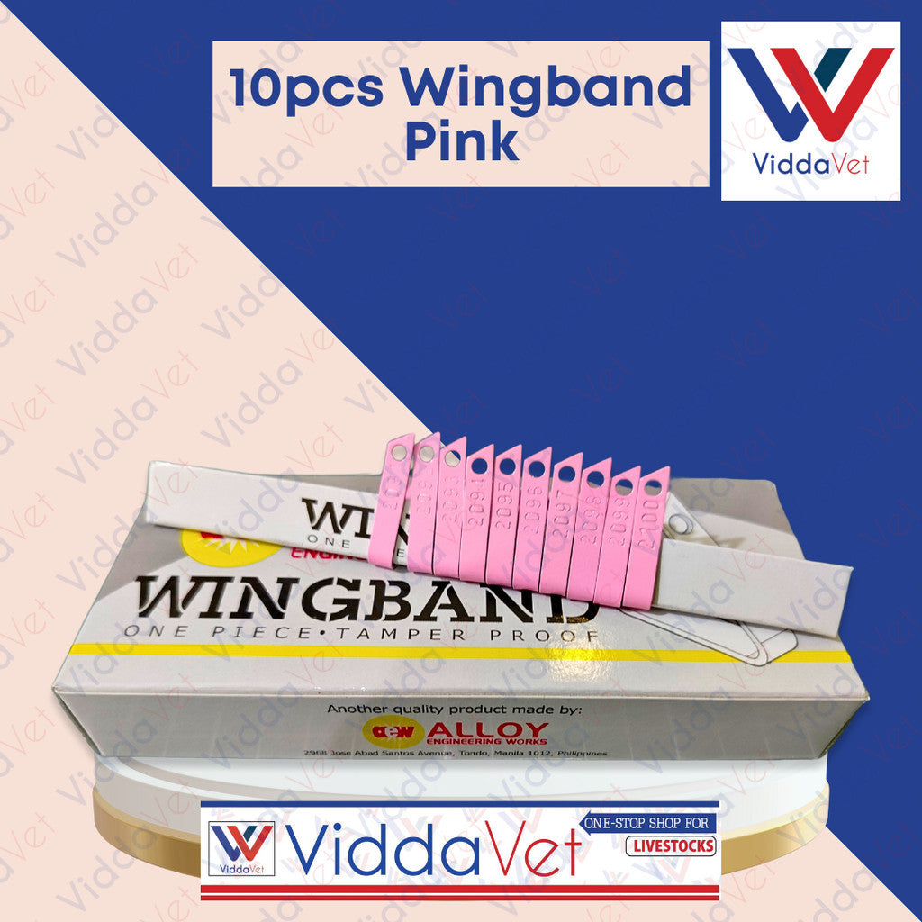 10pcs Wingband Pink