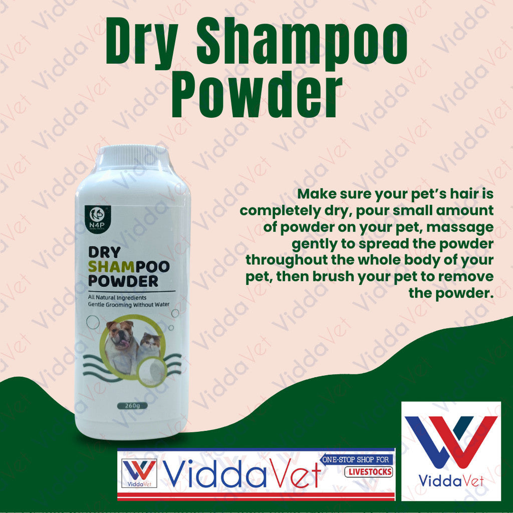 N4P Dry Shampoo Powder