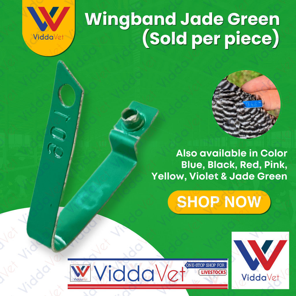 WingBand Green 1PC