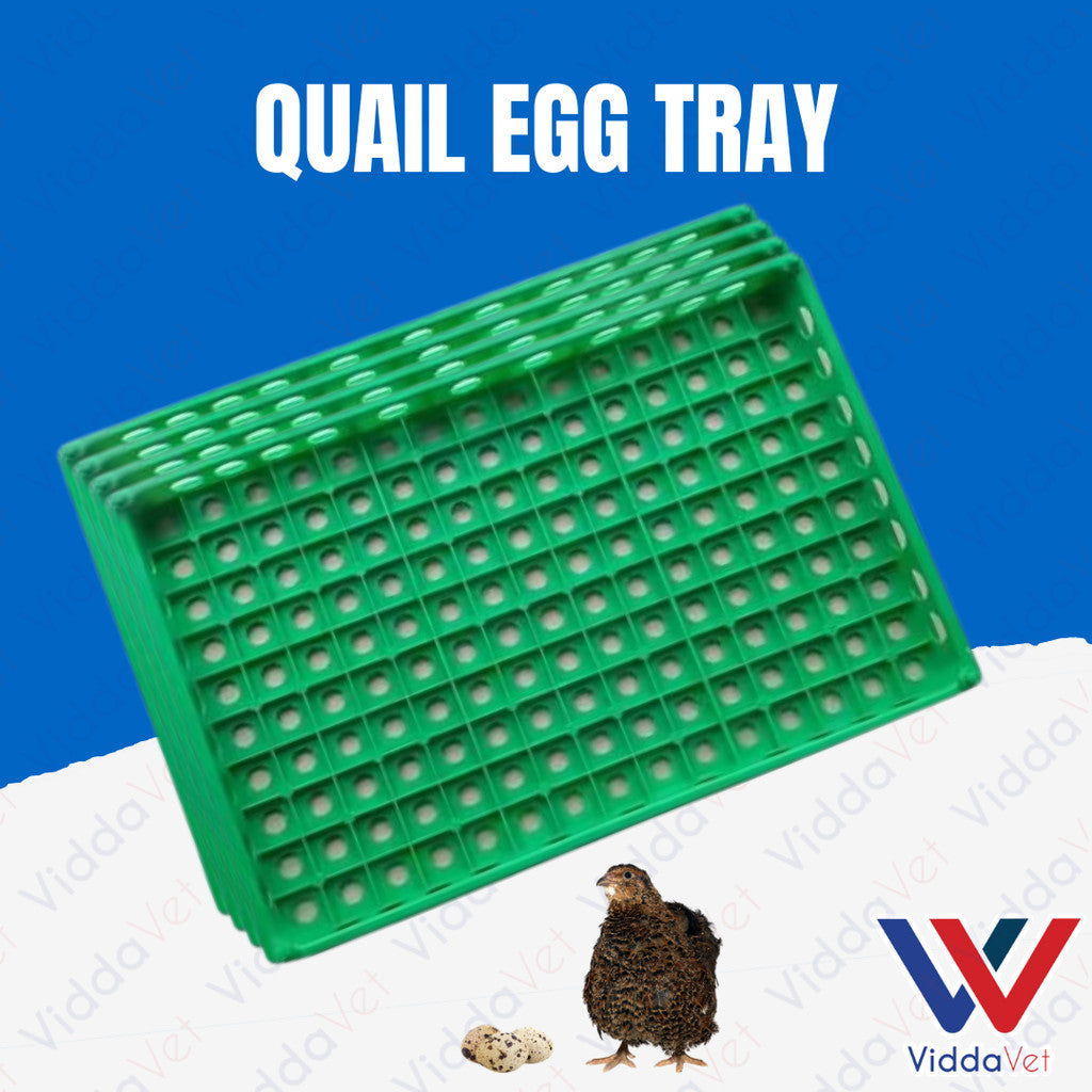Quail Egg Try Heavy Duty