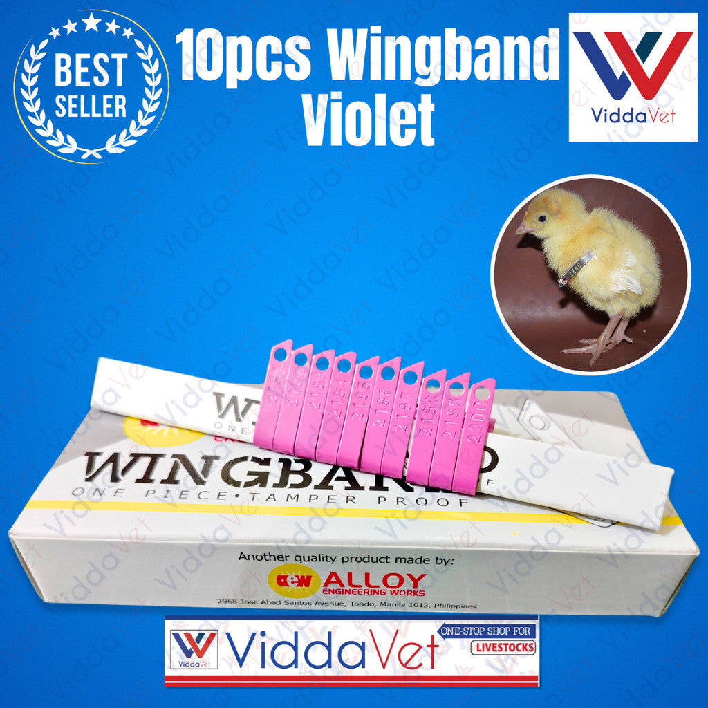 Wing Bands Violet 10pcs