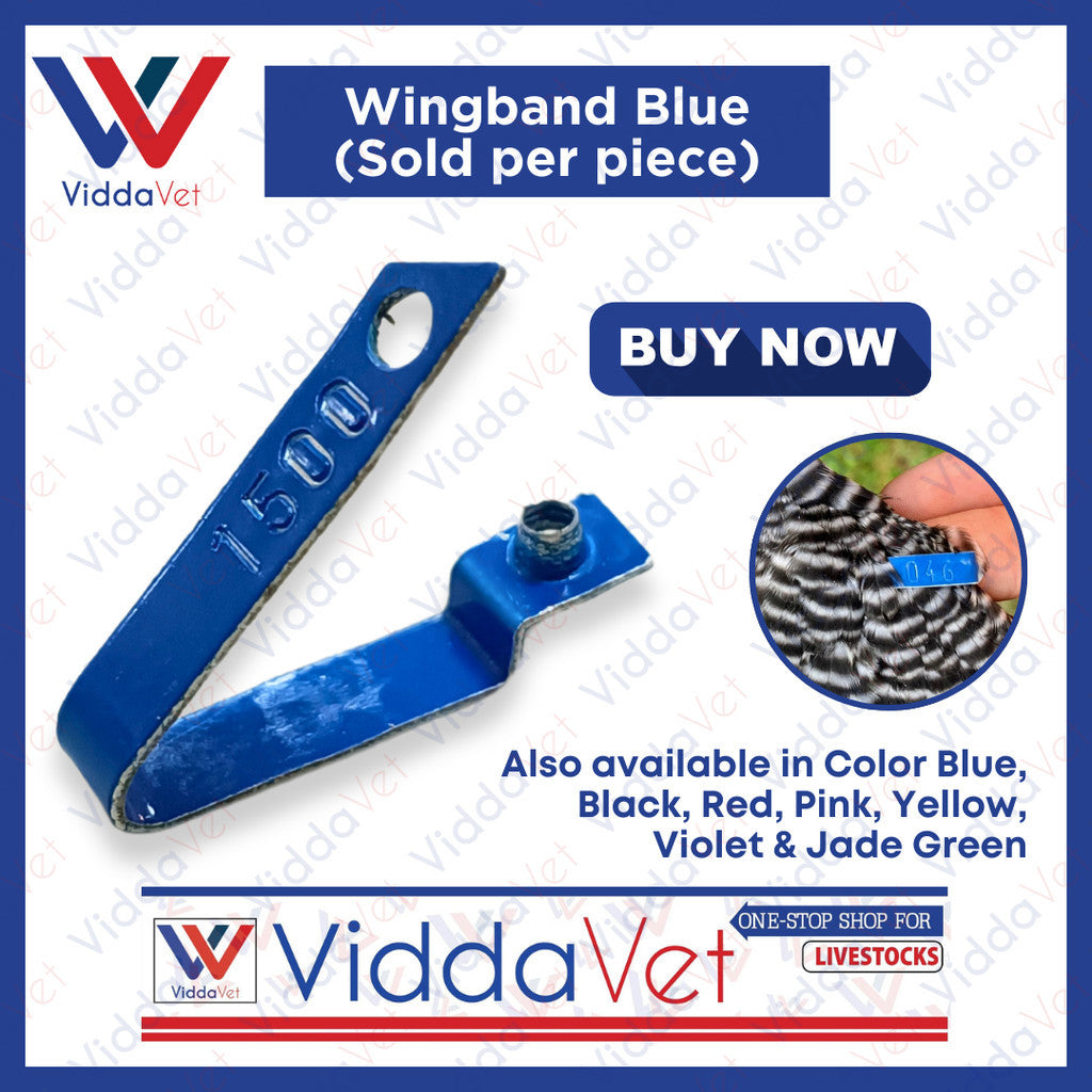 WingBand Blue 1pc