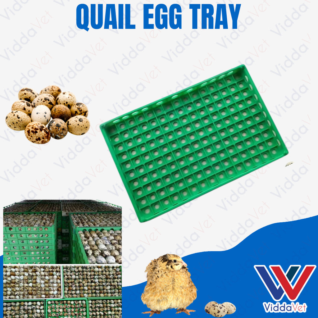 Quail Egg Try Heavy Duty