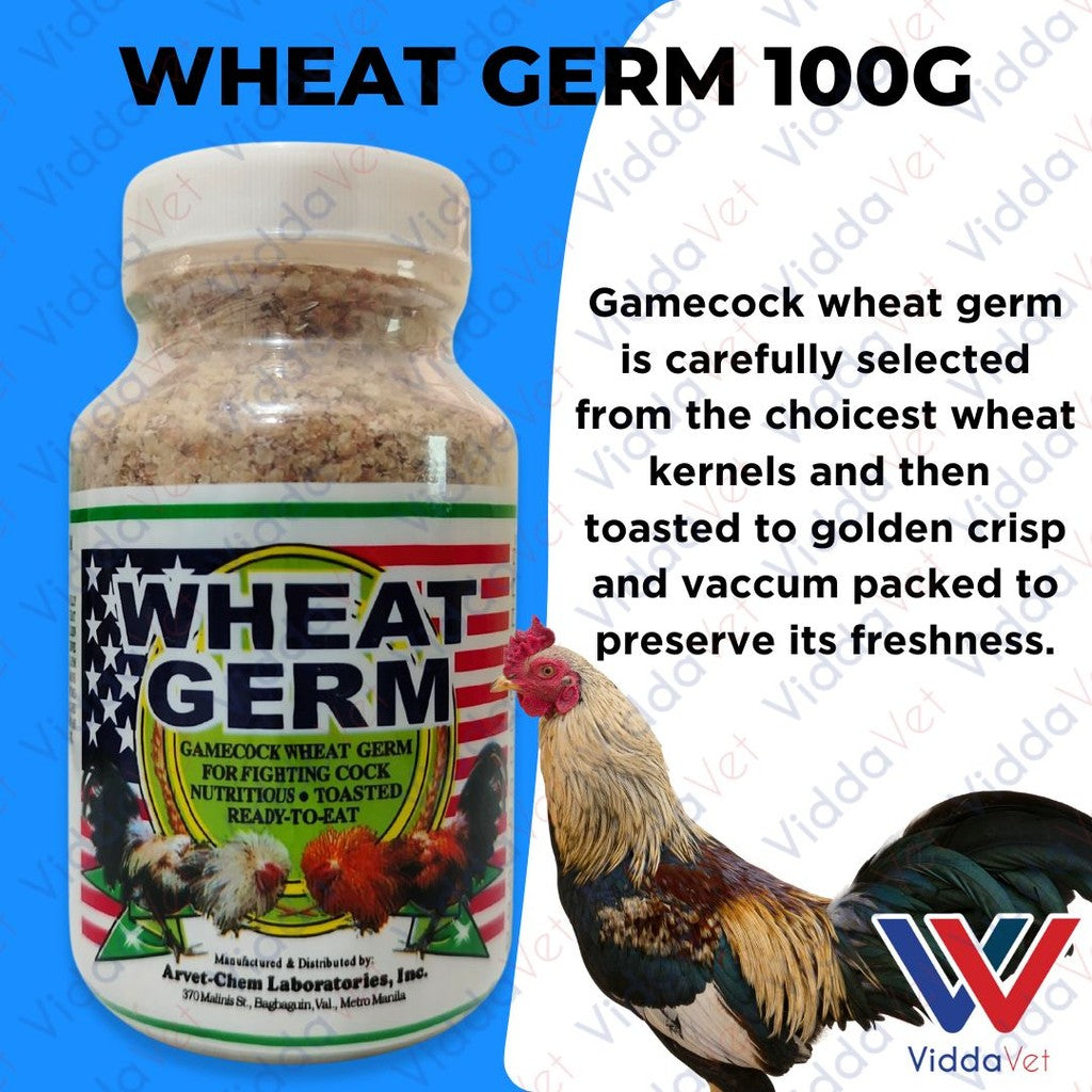 Wheat Germ 100g