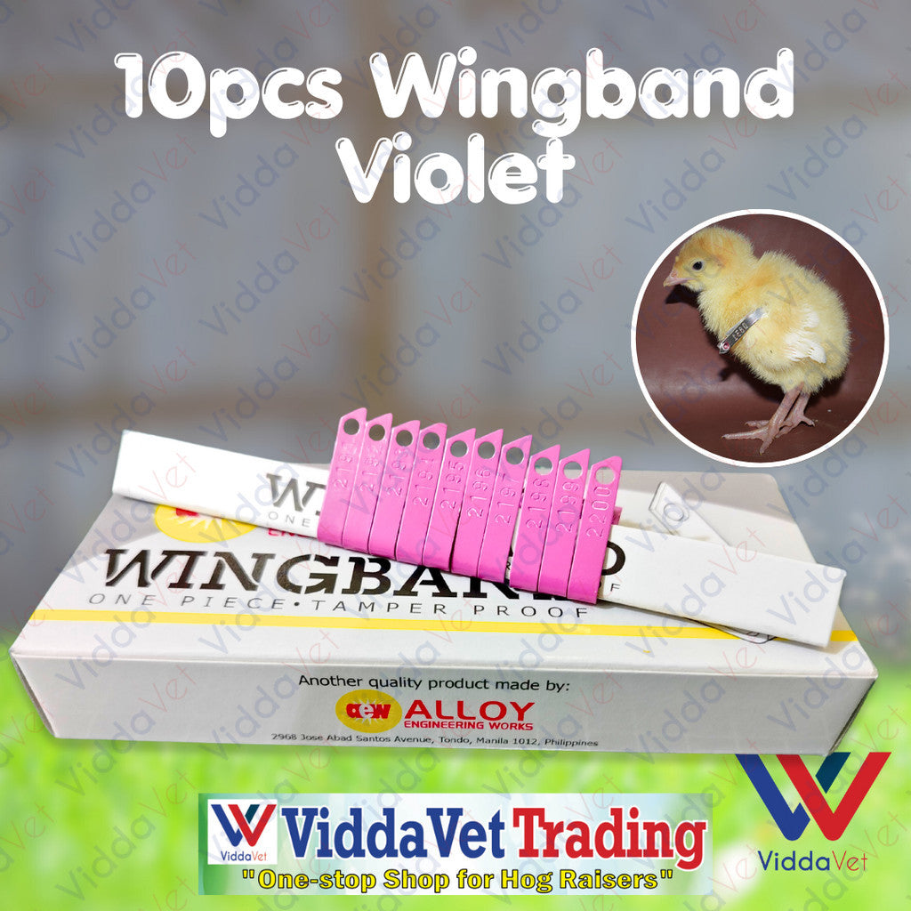 Wing Bands Violet 10pcs