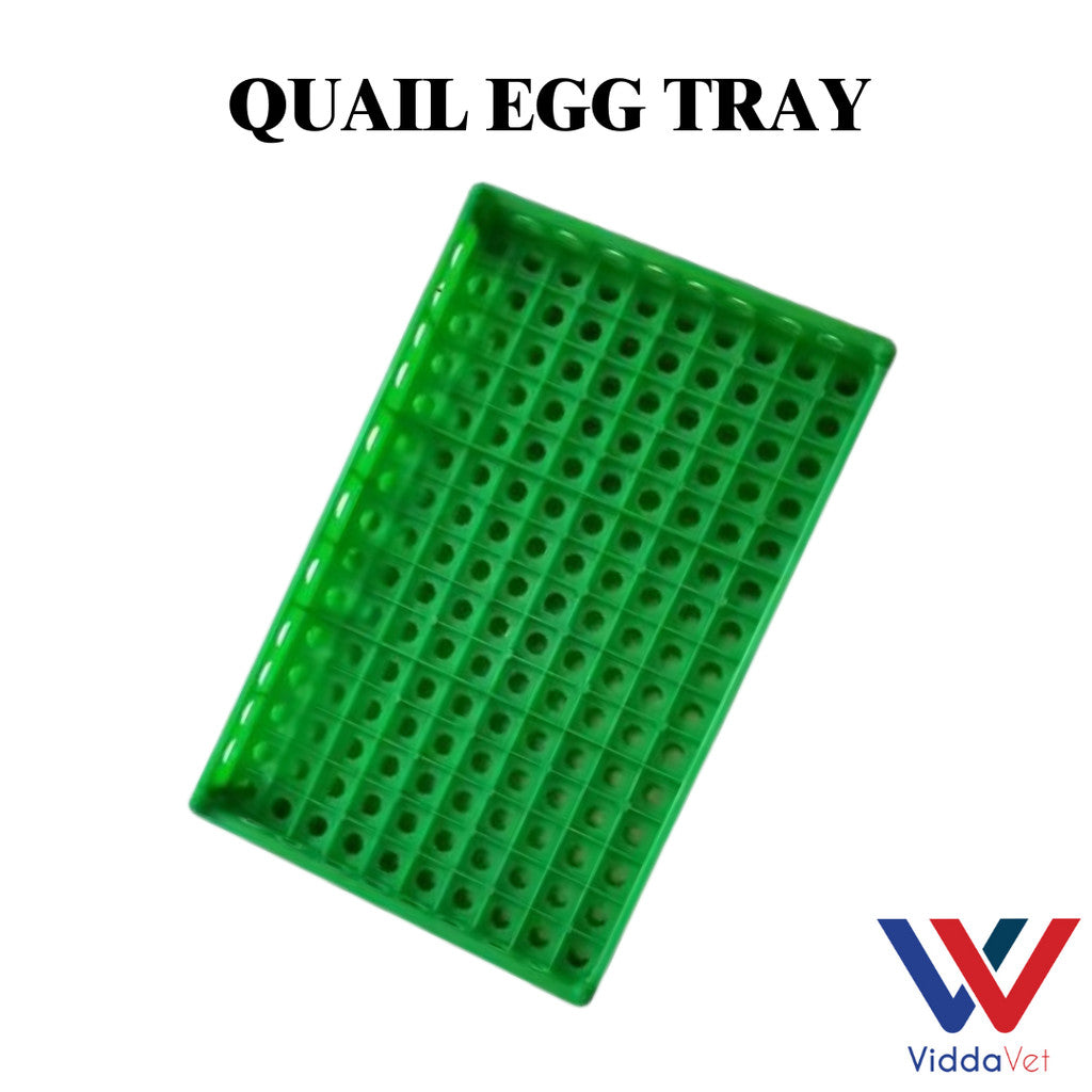 Quail Egg Try Heavy Duty
