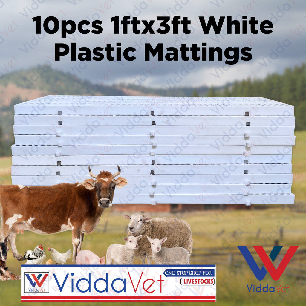 Plastic Mattings White 1x3 10pcs