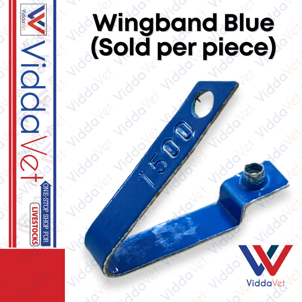 WingBand Blue 1pc