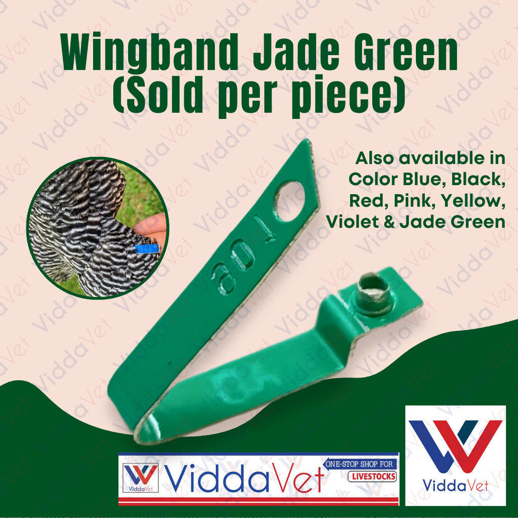 WingBand Green 1PC