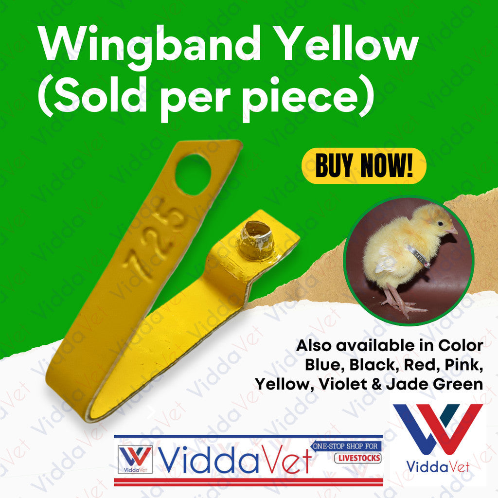 Wingband Yellow 1pc