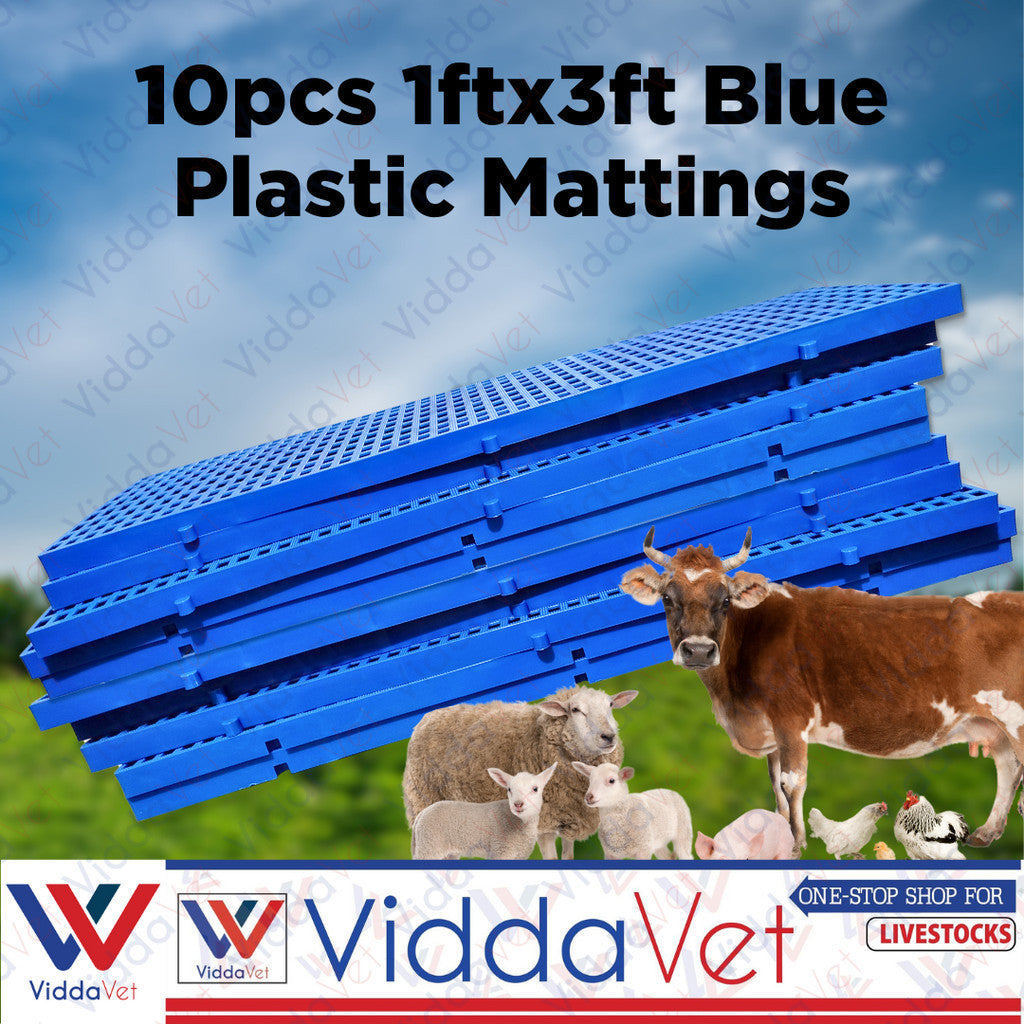 Plastic Mattings Blue 1x3 10pcs