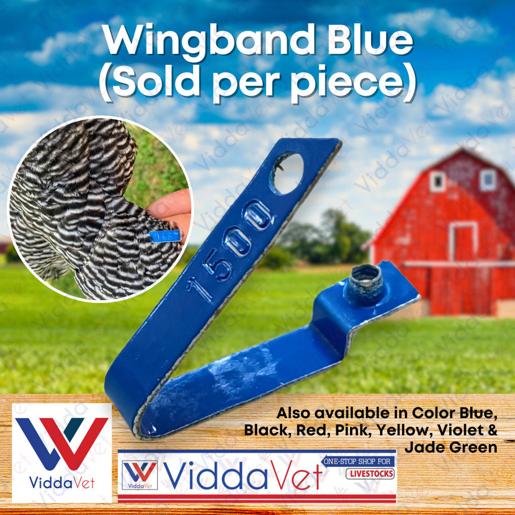 WingBand Blue 1pc