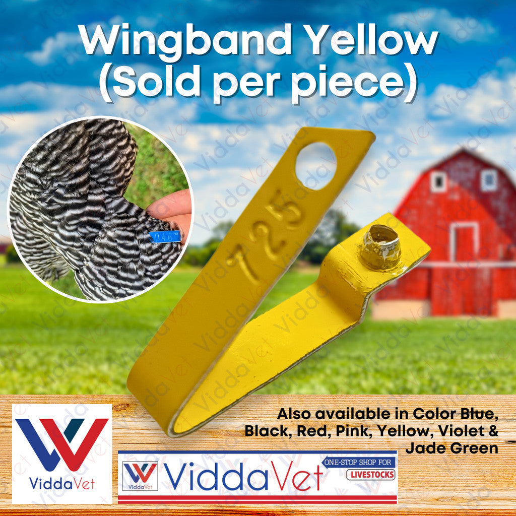 Wingband Yellow 1pc