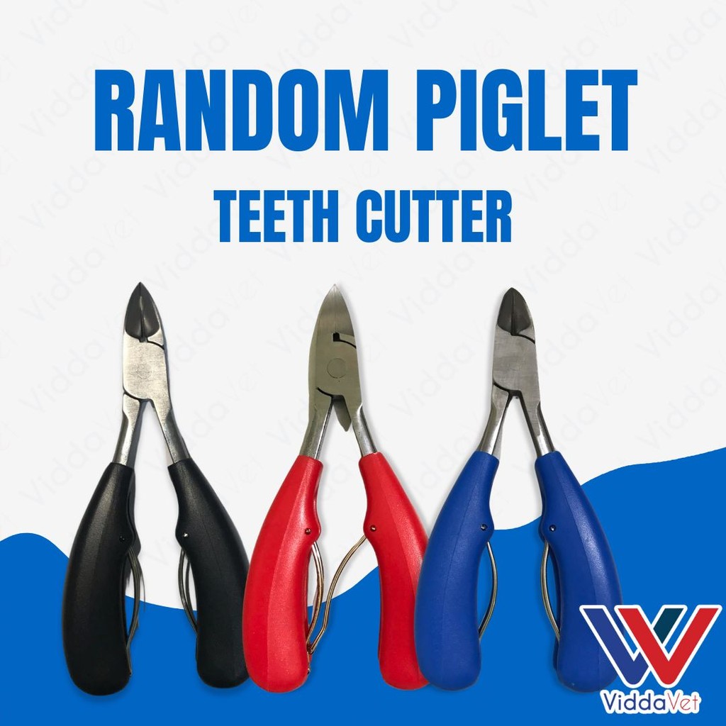 Piglet Teeth Cutter (Random)