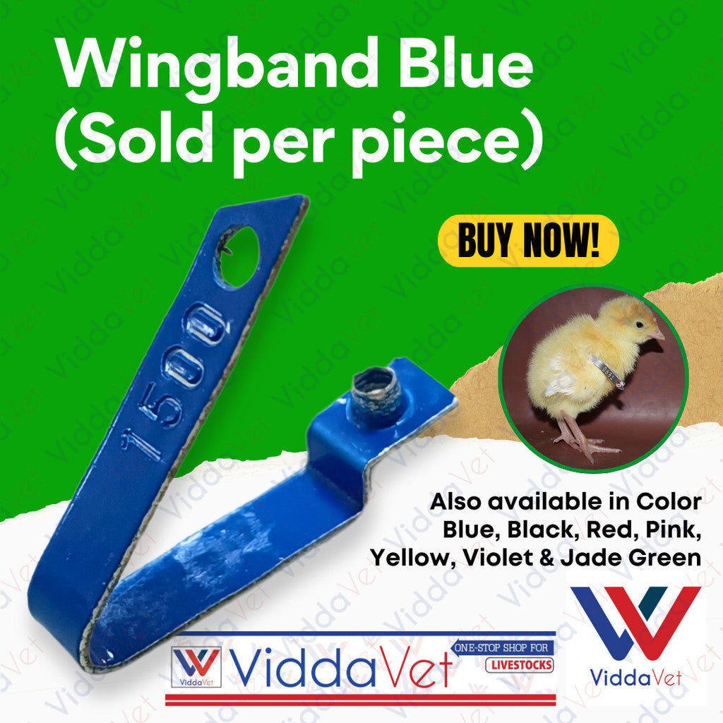 WingBand Blue 1pc